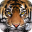 Ultimate Tiger Simulator 2  Mod Apk v1 Menu (Unlimited Money)