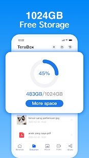 Terabox Cloud Storage Space Mod Apk 2