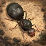 The Ants Underground Kingdom Mod APK 1.22.0 (Unlimited Everything)